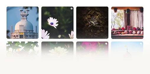 Saradasish Pradhan on Instagram